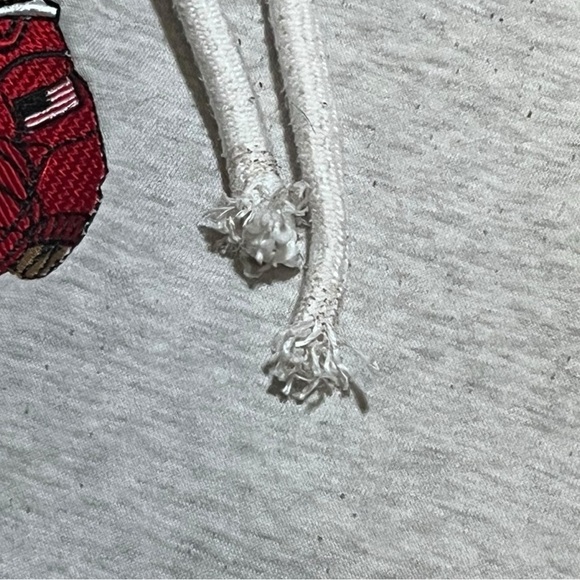 Polo Ralph Lauren Hoodie Polo Bear USA Basketball Pullover Gray Adult Sz L - Picture 4 of 10